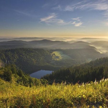 Waldloft Titisee 외부 사진