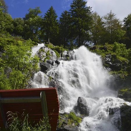 Waldloft Titisee 외부 사진