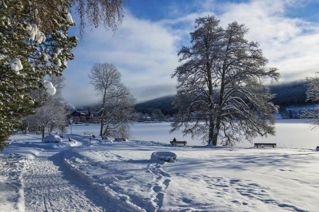 Waldloft Titisee 외부 사진