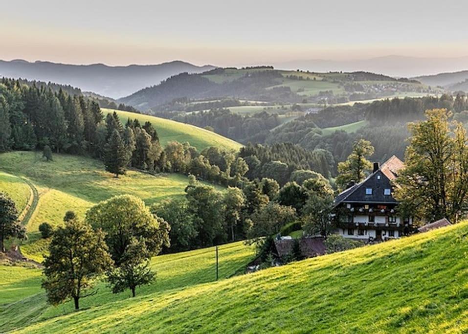 Waldloft Titisee 외부 사진