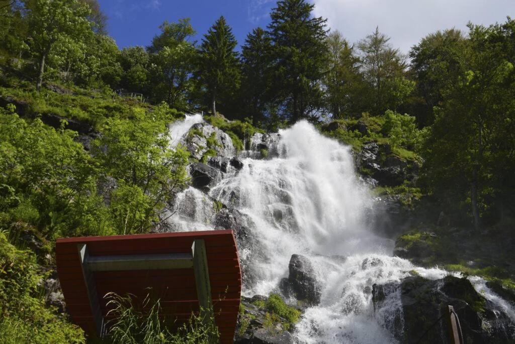 Waldloft Titisee 외부 사진
