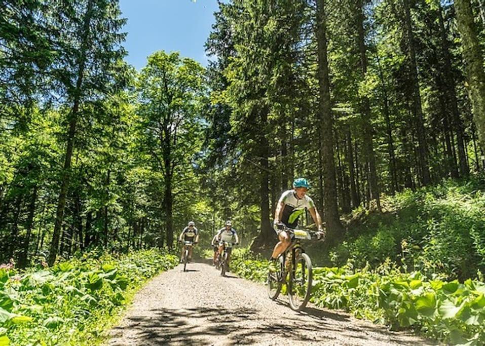 Waldloft Titisee 외부 사진
