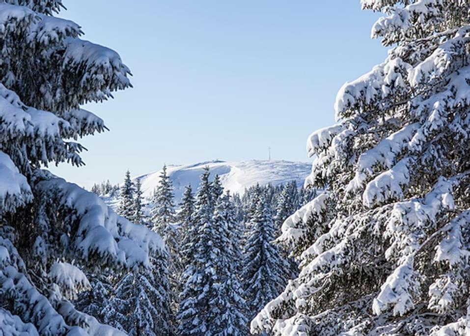 Waldloft Titisee 외부 사진